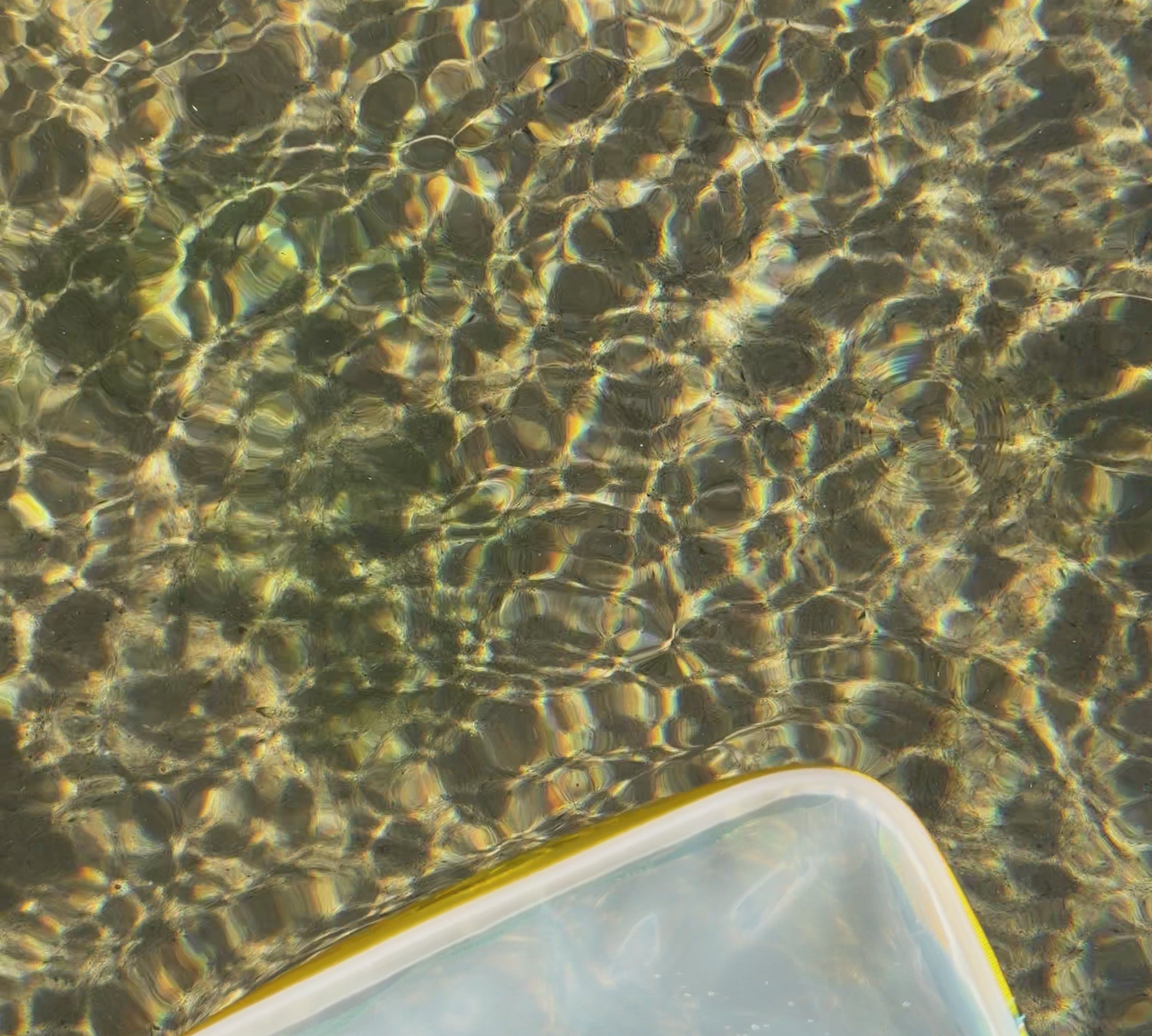 5c10ca8e44734aadbd09d07437ba4ff3.thumbnail.0000000000.jpg